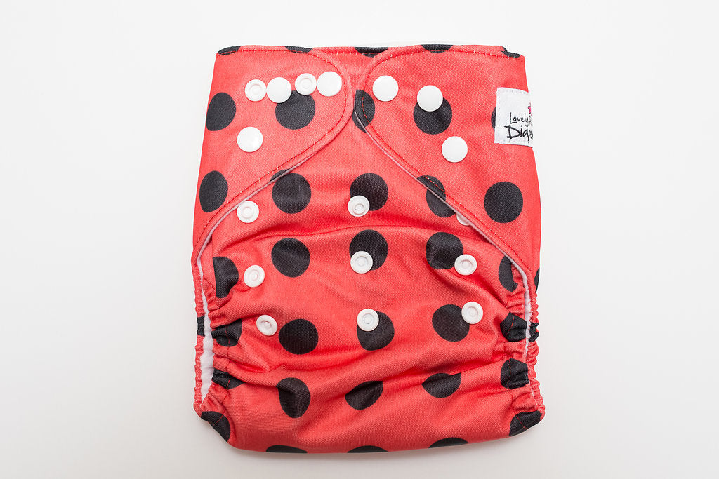 Ladybug