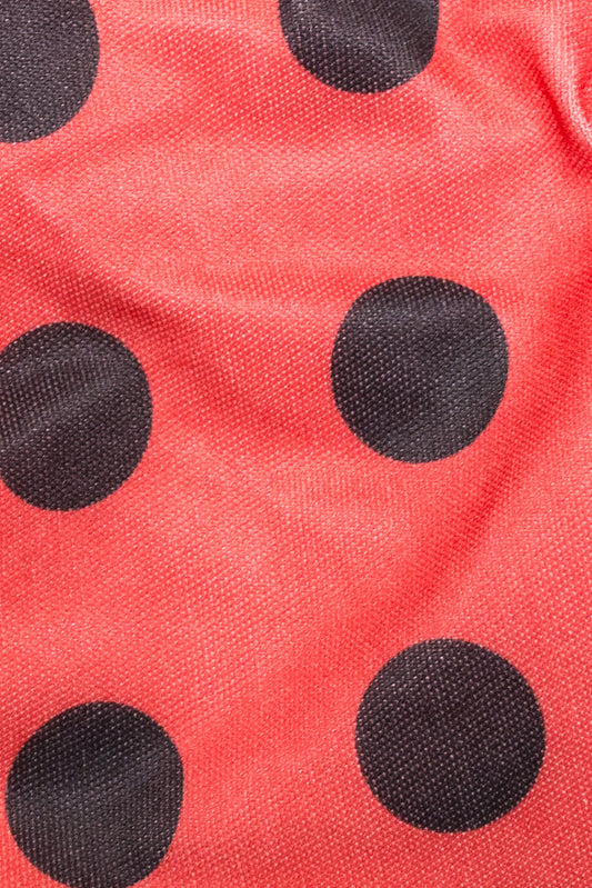 Ladybug