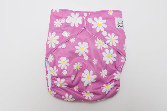 Daisies